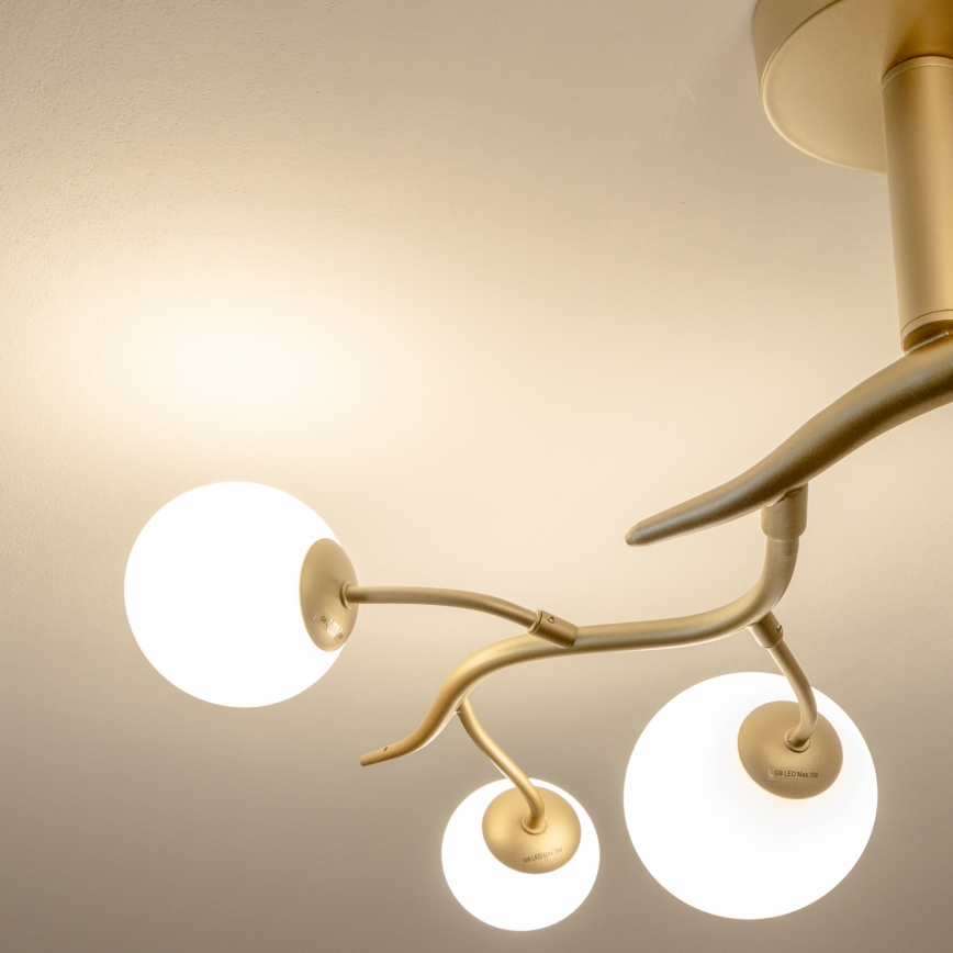 Brilagi - LED ytmonterad ljuskrona MISTEL 6xG9/3W/230V guld/vit