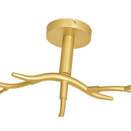 Brilagi - LED ytmonterad ljuskrona MISTEL 9xG9/3W/230V guld