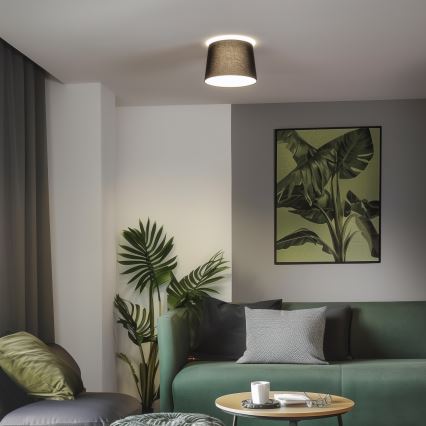 Brilagi - LED ytmonterad plafondlampa CERIA 1xE27/40W/230V Ø 30 cm svart