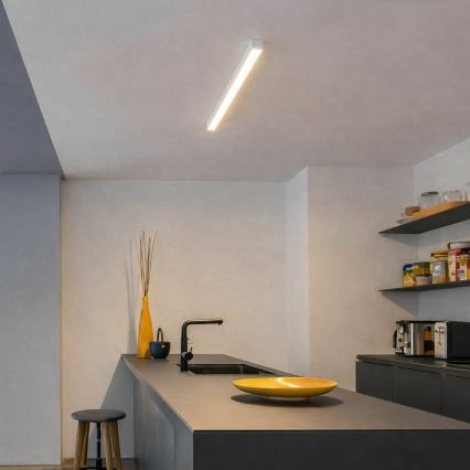 Brilagi - LED ytmonterad taklampa FULLDAY LED/10/15/20W/230V 2700/4000/6000K 60 cm vit