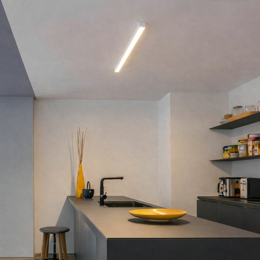 Brilagi - LED ytmonterad taklampa FULLDAY LED/10/15/20W/230V 2700/4000/6000K 60 cm vit