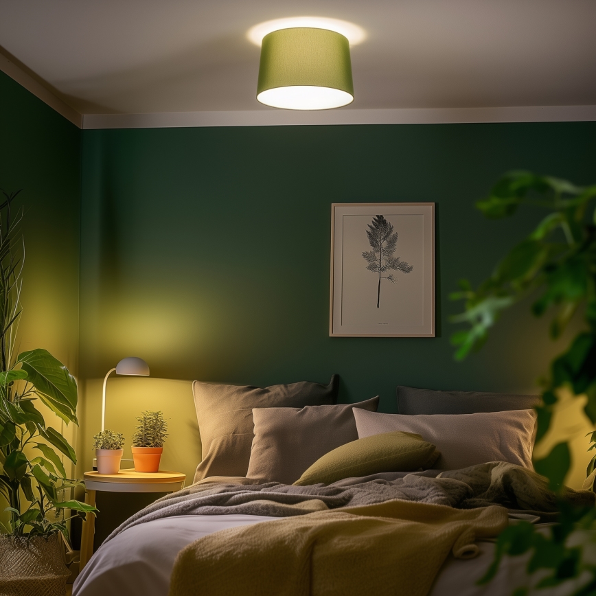 Brilagi - LED ytmonterad taklampa CERIA 1xE27/40W/230V Ø 45 cm grön