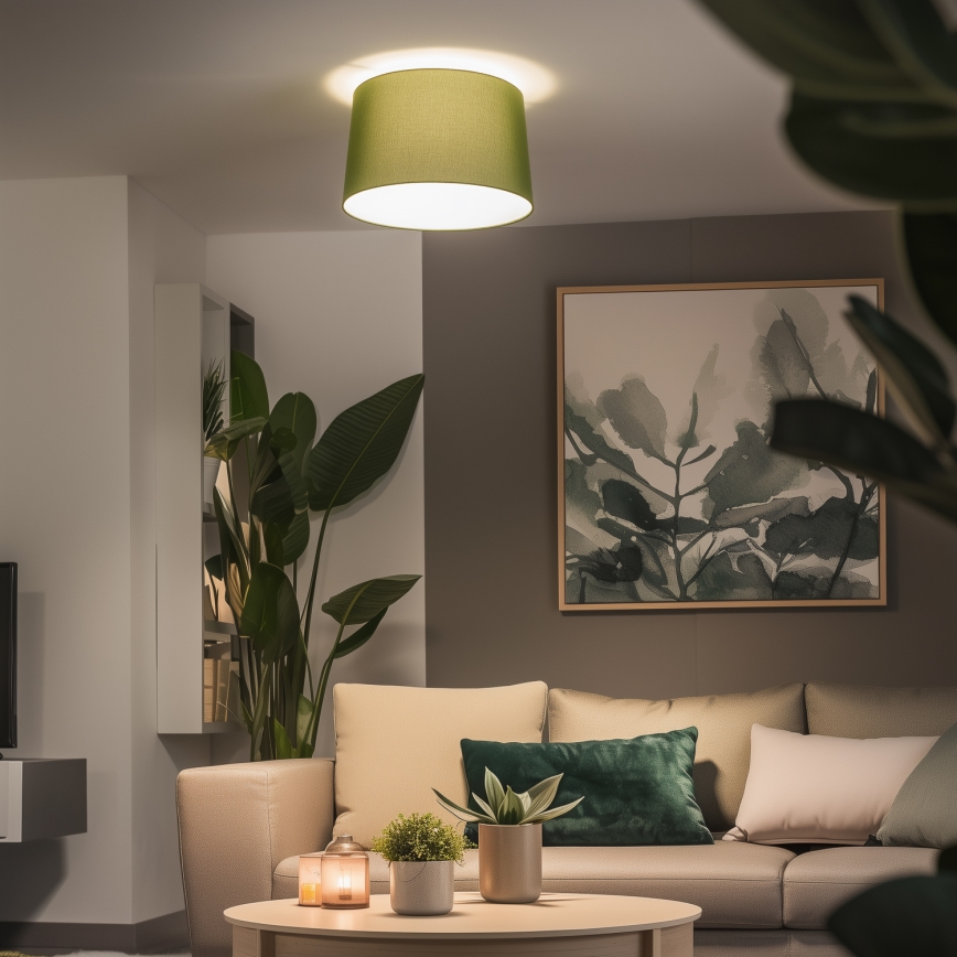 Brilagi - LED ytmonterad taklampa CERIA 1xE27/40W/230V Ø 45 cm grön