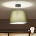 Brilagi - LED ytmonterad taklampa CERIA 1xE27/60W/230V Ø 30 cm svart/grön