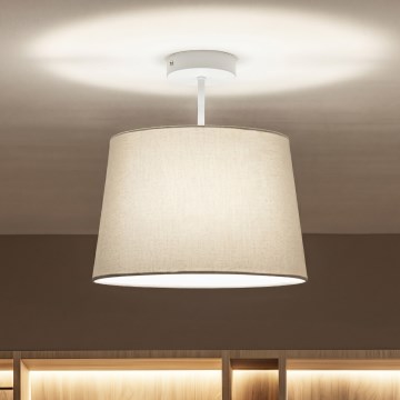 Brilagi - LED ytmonterad taklampa CERIA 1xE27/60W/230V Ø 30 cm vit/grå