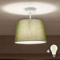 Brilagi - LED ytmonterad taklampa CERIA 1xE27/60W/230V Ø 30 cm vit/grön