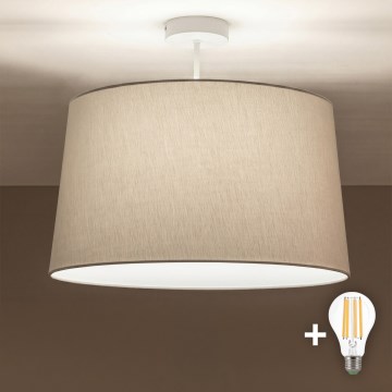 Brilagi - LED ytmonterad taklampa CERIA 1xE27/60W/230V Ø 45 cm vit/grå