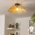 BRILAGI - LED ytmonterad taklampa CERIA BOHO 1xE27/40W/230V Ø 50 cm brun