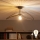 Brilagi - LED ytmonterad taklampa CERIA WIRE 1xE27/60W/230V 40x56 cm svart/brons