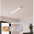 Brilagi - LED ytmonterad taklampa FULLDAY LED/10/15/20W/230V 2700/4000/6000K 60 cm vit