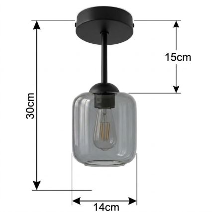 BRILAGI - LED ytmonterad taklampa RETRO GLASS 1xE27/60W/230V Ø 14 cm svart/rökgrå