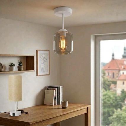 BRILAGI - LED ytmonterad taklampa RETRO GLASS 1xE27/60W/230V Ø 14 cm vit/rökgrå