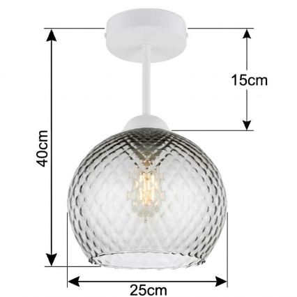 BRILAGI - LED ytmonterad taklampa RETRO GLASS 1xE27/60W/230V Ø 25 cm vit/rökgrå