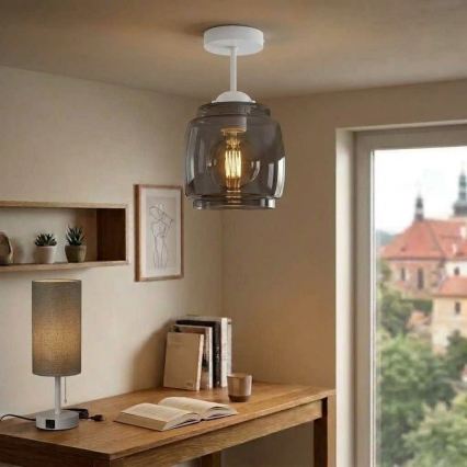 BRILAGI - LED ytmonterad taklampa RETRO GLASS 1xE27/60W/230V Ø 26 cm vit/rökgrå