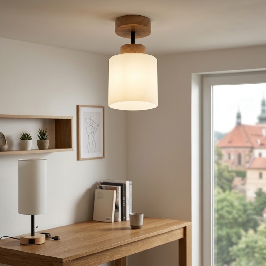 BRILAGI - LED ytmonterad taklampa RETRO GLASS 1xE27/60W/230V Ø 10 cm ek/vit