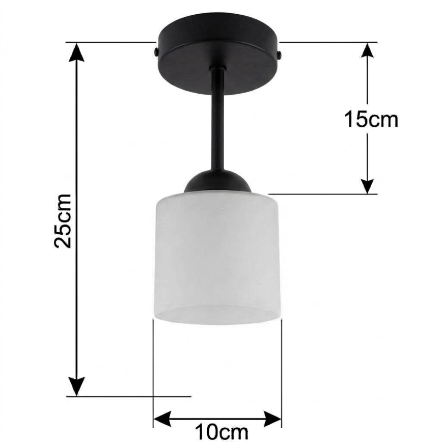 BRILAGI - LED ytmonterad taklampa RETRO GLASS 1xE27/60W/230V Ø 10 cm svart/vit