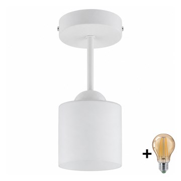 BRILAGI - LED ytmonterad taklampa RETRO GLASS 1xE27/60W/230V Ø 10 cm vit