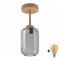 BRILAGI - LED ytmonterad taklampa RETRO GLASS 1xE27/60W/230V Ø 14 cm beige/rökgrå