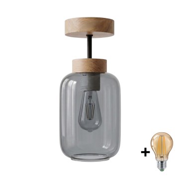 BRILAGI - LED ytmonterad taklampa RETRO GLASS 1xE27/60W/230V Ø 14 cm ek/rökgrå