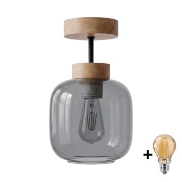 BRILAGI - LED ytmonterad taklampa RETRO GLASS 1xE27/60W/230V Ø 14 cm ek/rökgrå