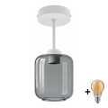 BRILAGI - LED ytmonterad taklampa RETRO GLASS 1xE27/60W/230V Ø 14 cm vit/rökgrå