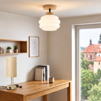 BRILAGI - LED ytmonterad taklampa RETRO GLASS 1xE27/60W/230V Ø 20 cm ek/vit