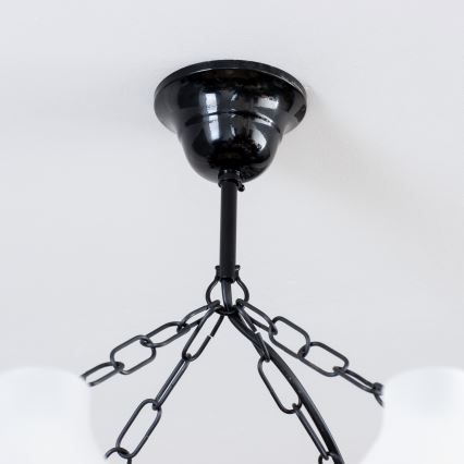 Brilagi - Ljuskrona på kedja QUEEN 8xE14/40W/230V bok/valnöt