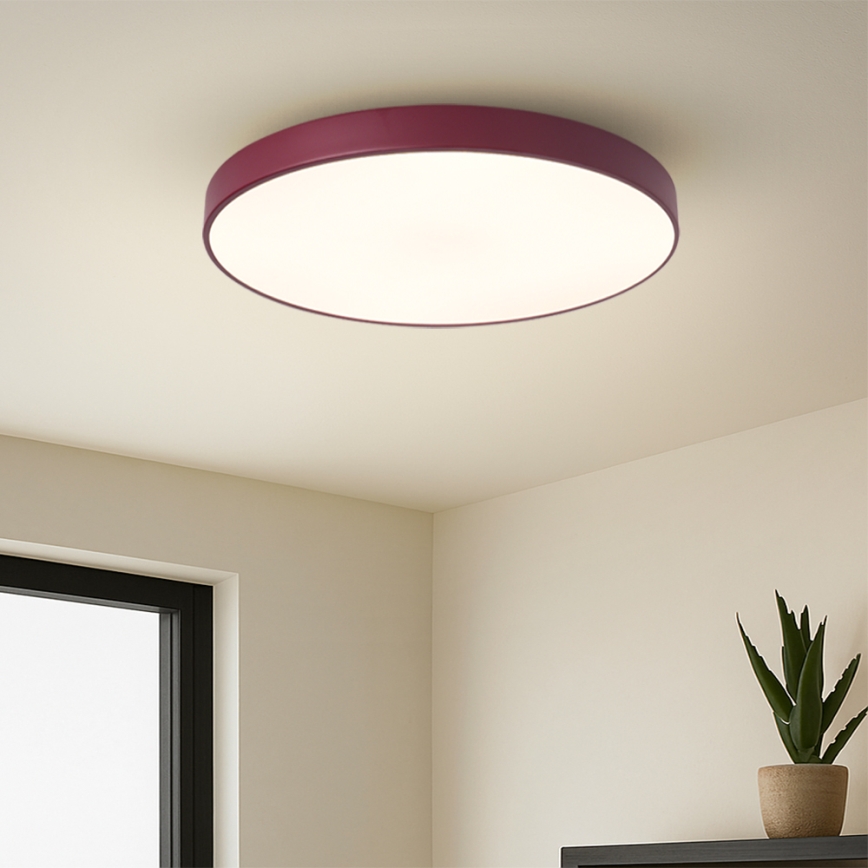 Brilagi - LED-takarmatur POOL LED/60W/230V 3000/4000/6000K Ø 50 cm bordeaux