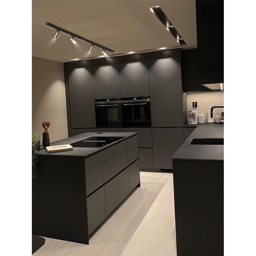 Brilagi - Punktbelysning för skensystem HUSKY 4xGU10/10W/230V svart/guld