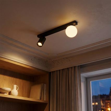 Brilagi - Riktbar spotlampa SELE BALL 1xGU10/30W/230V + 1xG9/10W svart