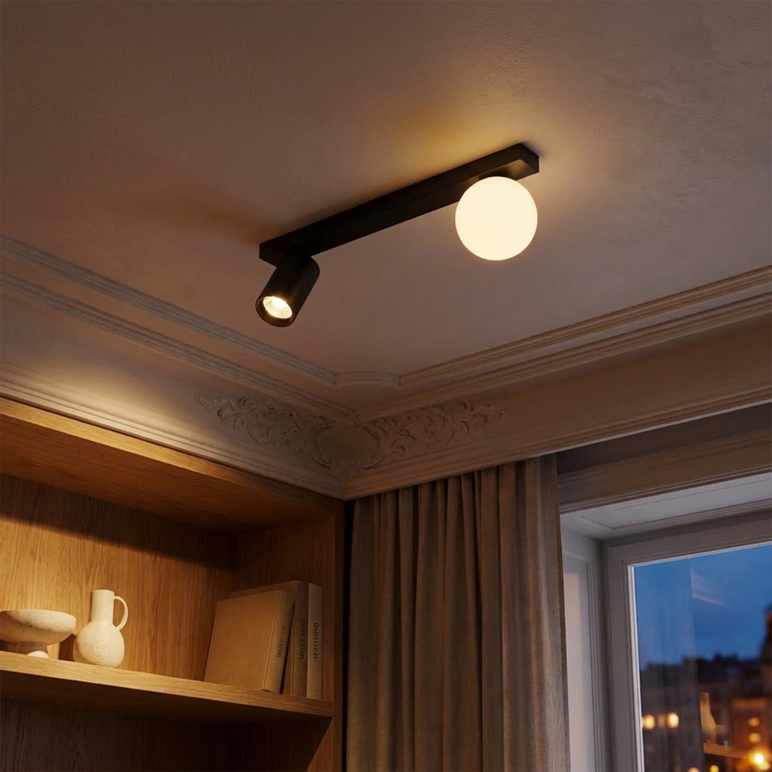 Brilagi - Riktbar spotlampa SELE BALL 1xGU10/30W/230V + 1xG9/10W svart