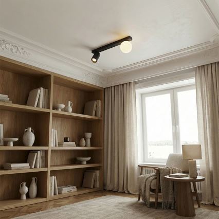 Brilagi - Riktbar spotlampa SELE BALL 1xGU10/30W/230V + 1xG9/10W svart