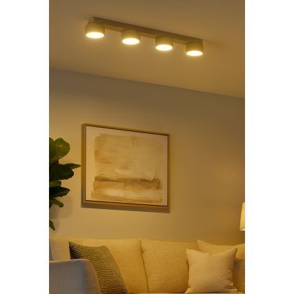 Brilagi - Spotarmatur MONO 4xGX53/12W/230V beige