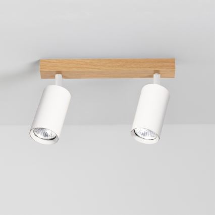 Brilagi - Spotarmatur SELE 2xGU10/30W/230V vit/ekdekor