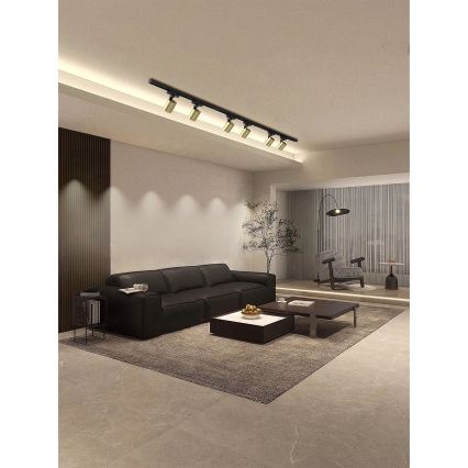 Brilagi - Spotbelysning i skensystem HUSKY 6xGU10/10W/230V svart/guld