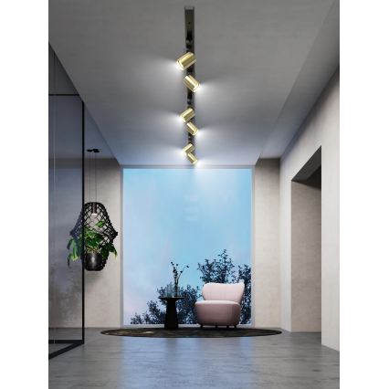 Brilagi - Spotbelysning i skensystem HUSKY 6xGU10/10W/230V svart/guld