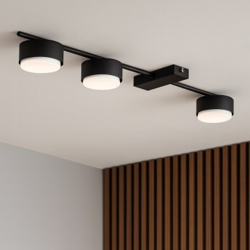 Brilagi - Spotlampa 3xGX53/12W/230V svart