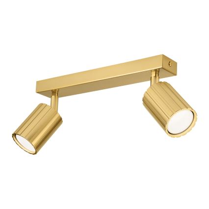 Brilagi - Spotlampa CRISPINA 2xGU10/10W/230V guld