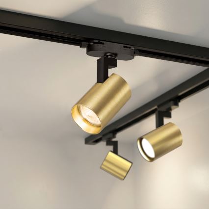 Brilagi - Spotlampa för skensystem HUSKY 8xGU10/10W/230V svart/guld