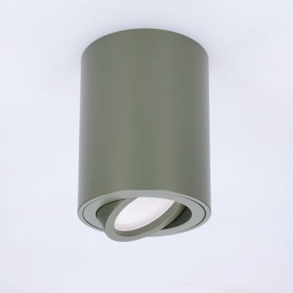 BRILAGI - Spotlampa MIA 1xGU10/30W/230V 100x80 mm mörkgrön