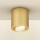 Brilagi - Spotlampa MIA 1xGU10/30W/230V 84x80 mm guld