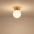 BRILAGI - Spotlampa MILO 1xE27/60W/230V guld