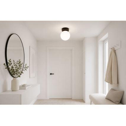 BRILAGI - Spotlampa MILO 1xE27/60W/230V svart
