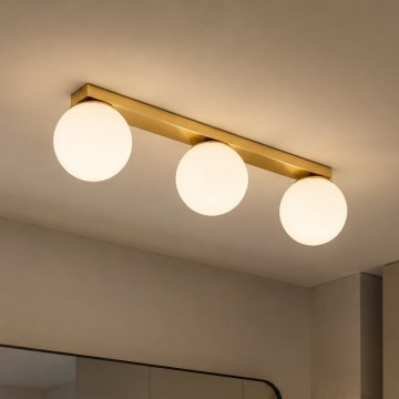 BRILAGI - Spotlampa MILO 3xE27/60W/230V guldfärgad