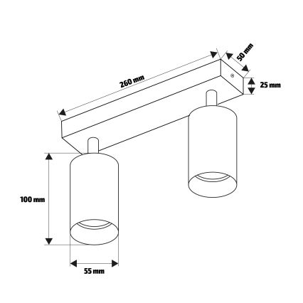 Brilagi - Spotlampa SELE 2xGU10/30W/230V svart/ekdekor