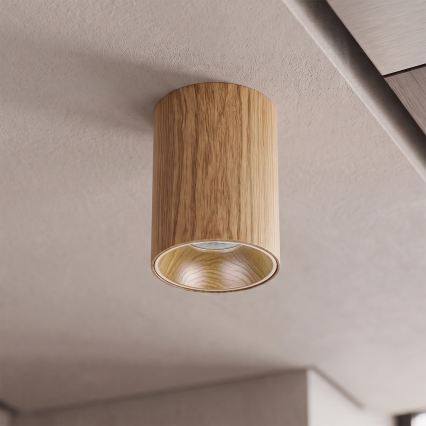 BRILAGI - Spotlampa TRINE 1xGU10/30W/230V i ekdekor