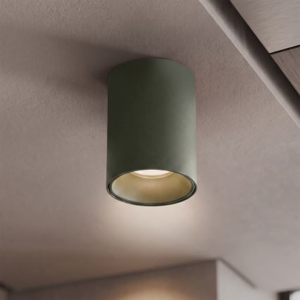 BRILAGI - Spotlampa TRINE 1xGU10/30W/230V mörkgrön