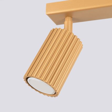 Brilagi - Spotlight CRESTO 2xGU10/10W/230V guld