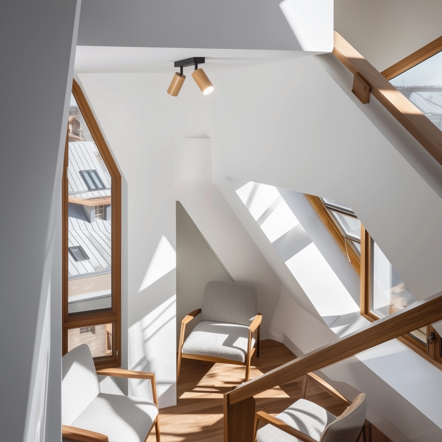 Brilagi - Spotlight SELE 2xGU10/30W/230V svart/ekdekor