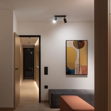 Brilagi - Spotlight SELE 2xGU10/30W/230V svart/guld